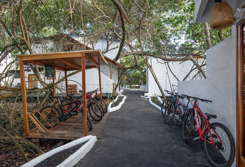 فندق Blu Galapagos Sustainable Waterfront Lodge