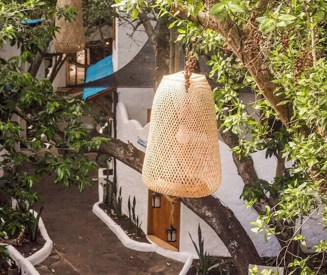 בית מלון כפרי Blu Galapagos Sustainable Waterfront Lodge