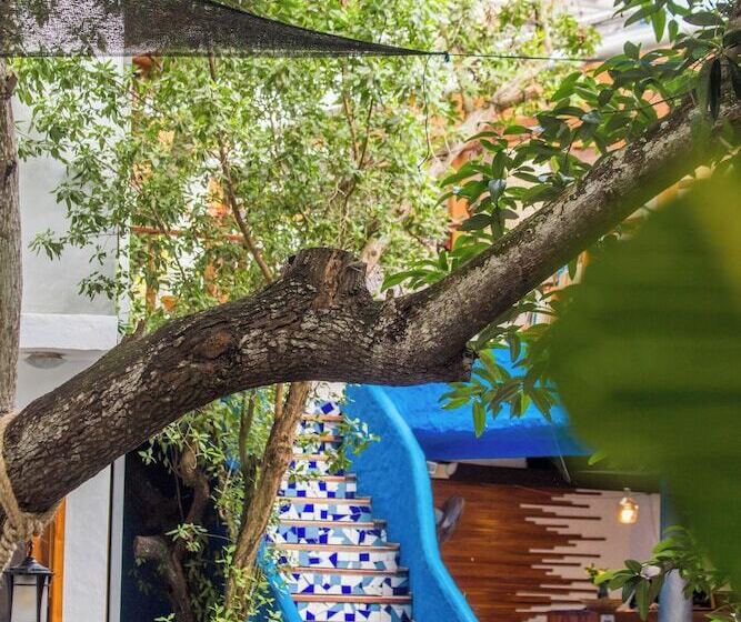 فندق Blu Galapagos Sustainable Waterfront Lodge