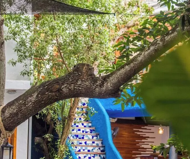 בית מלון כפרי Blu Galapagos Sustainable Waterfront Lodge