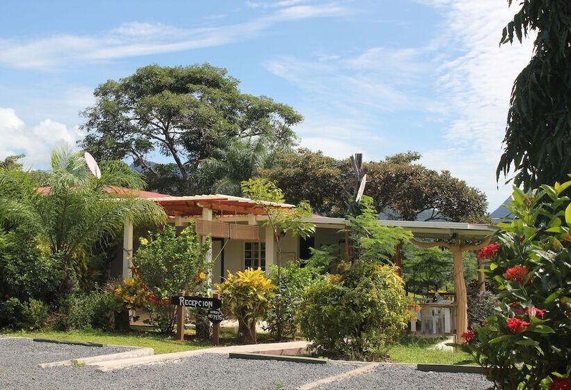 فندق Coffee Mountain Inn