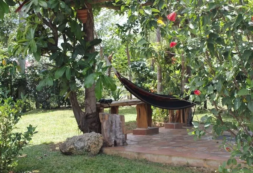 فندق Coffee Mountain Inn