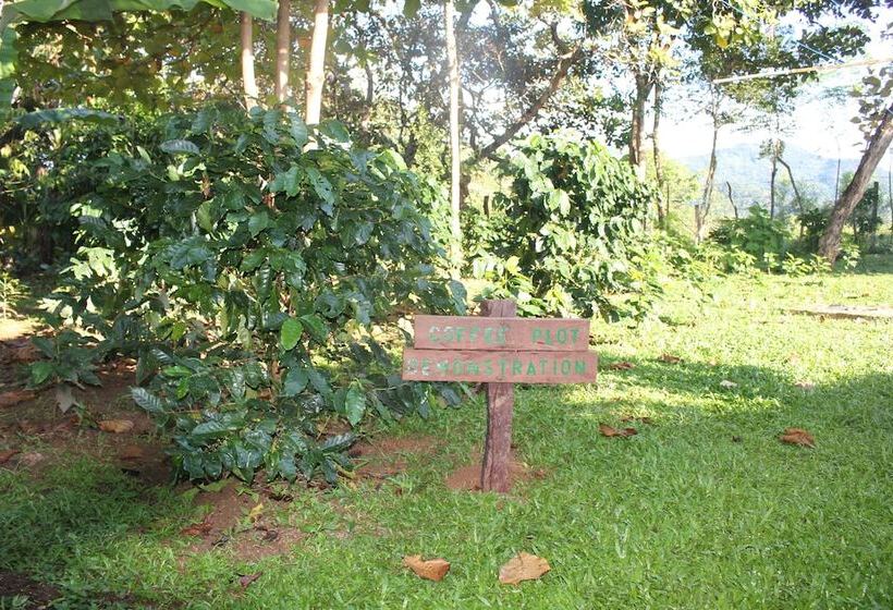 فندق Coffee Mountain Inn