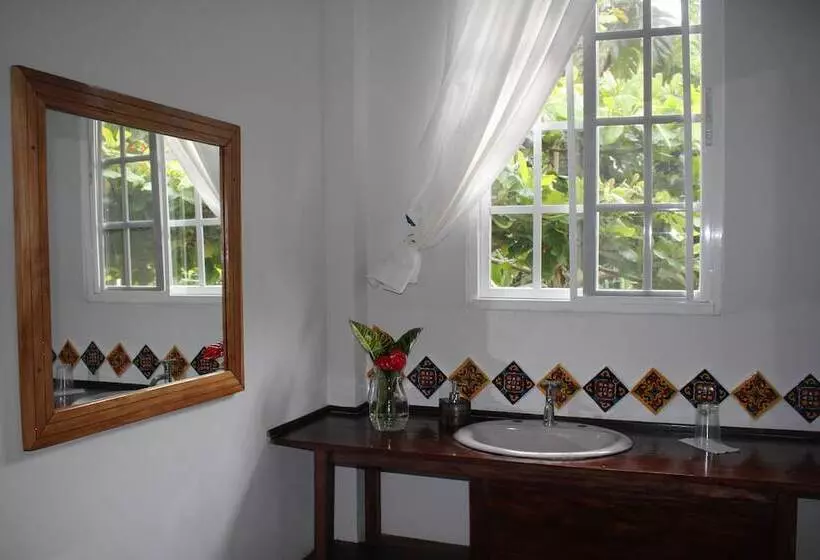 فندق Coffee Mountain Inn