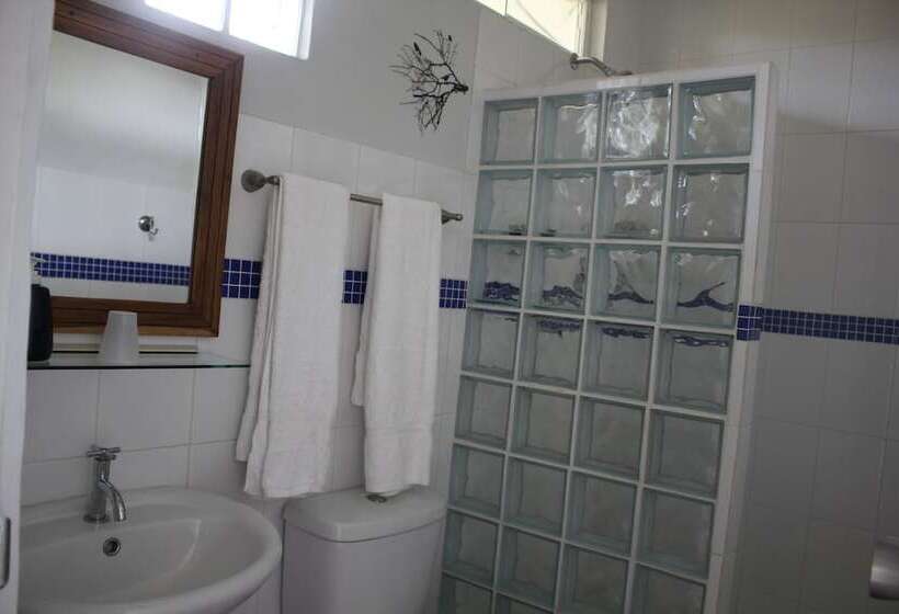 فندق Coffee Mountain Inn