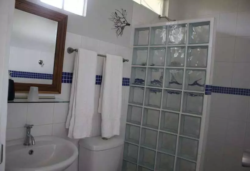 فندق Coffee Mountain Inn