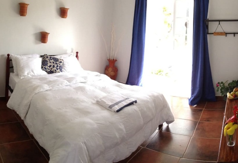 فندق Coffee Mountain Inn