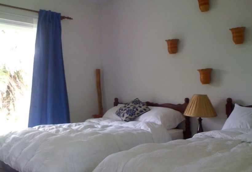 فندق Coffee Mountain Inn