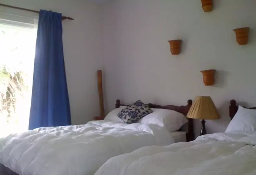 فندق Coffee Mountain Inn