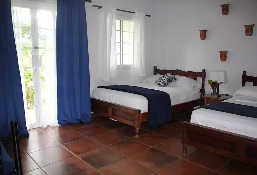 فندق Coffee Mountain Inn