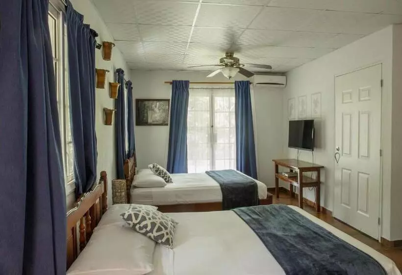 فندق Coffee Mountain Inn