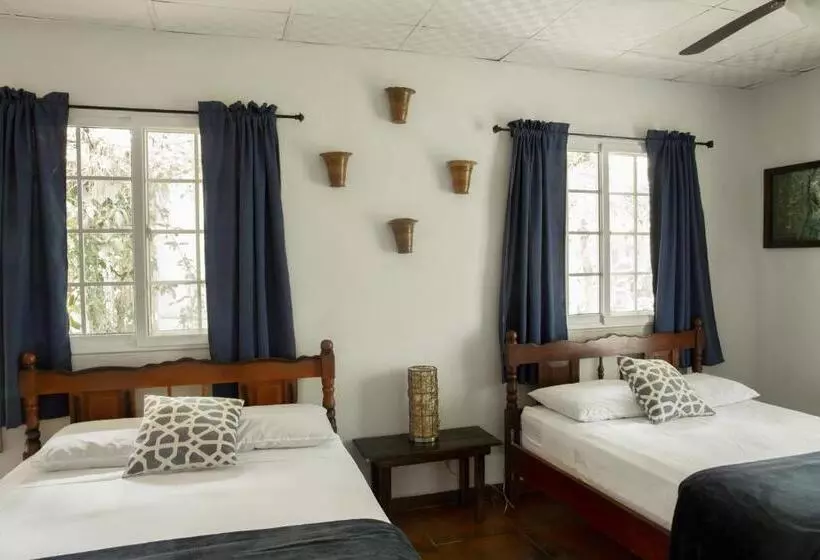 فندق Coffee Mountain Inn