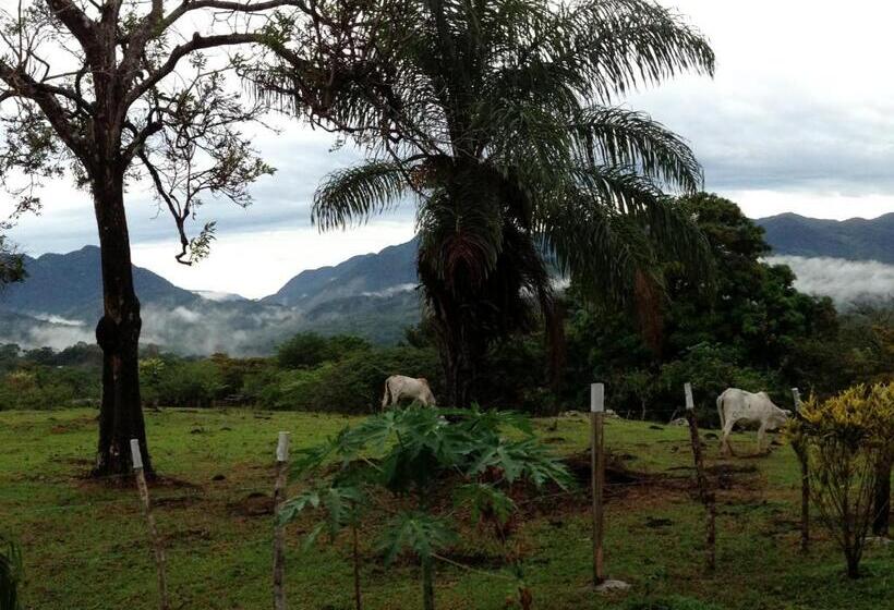 فندق Coffee Mountain Inn