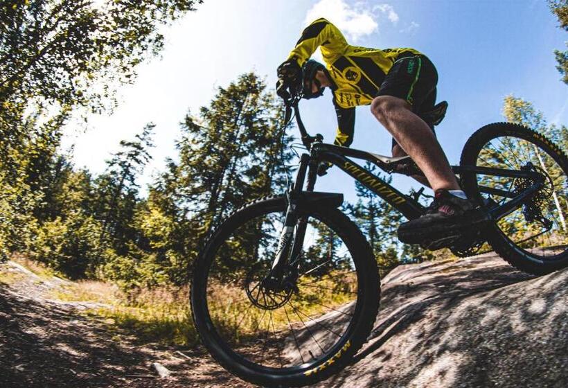 בית מלון כפרי Gammelgården