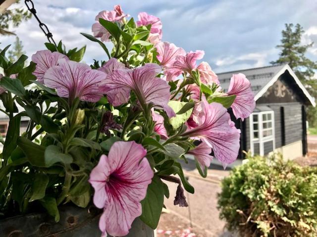 בית מלון כפרי Gammelgården