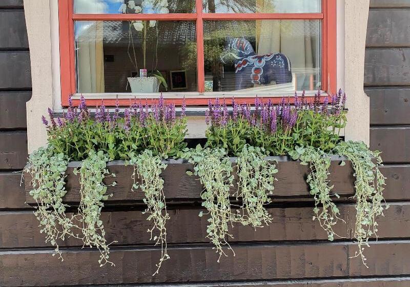 בית מלון כפרי Gammelgården