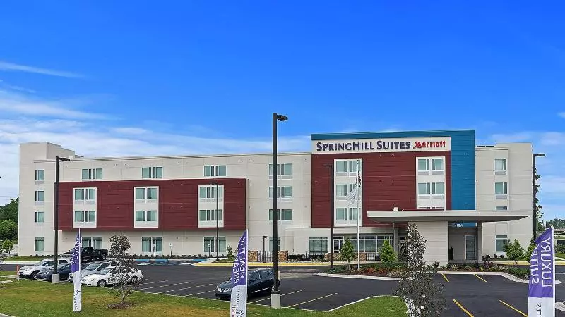 ホテル Springhill Suites By Marriott Baton Rouge Gonzales