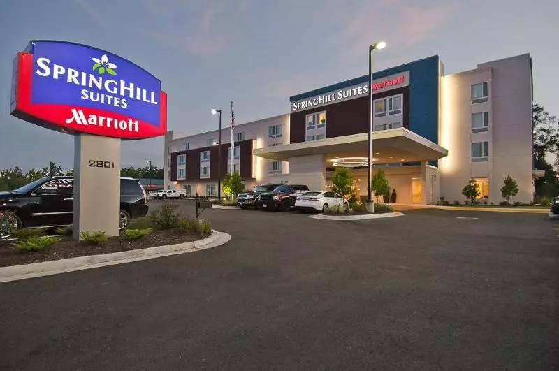 ホテル Springhill Suites By Marriott Baton Rouge Gonzales