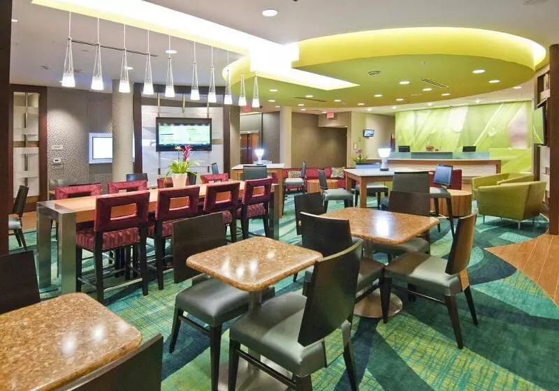 ホテル Springhill Suites By Marriott Baton Rouge Gonzales