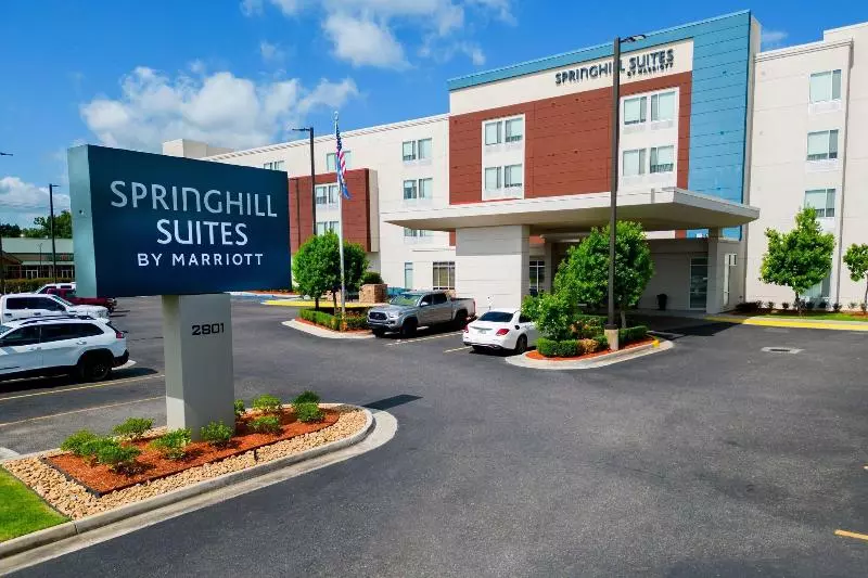 ホテル Springhill Suites By Marriott Baton Rouge Gonzales
