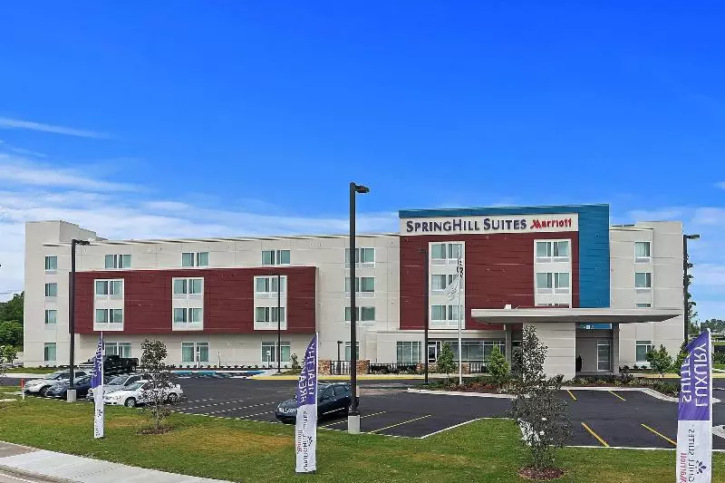 ホテル Springhill Suites By Marriott Baton Rouge Gonzales