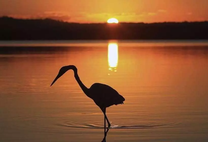 Lake Weyba Cottages Noosa