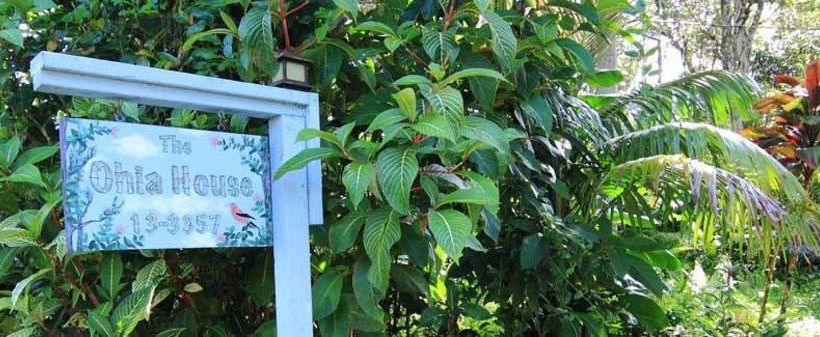 Ohia House Bed And Breakfast