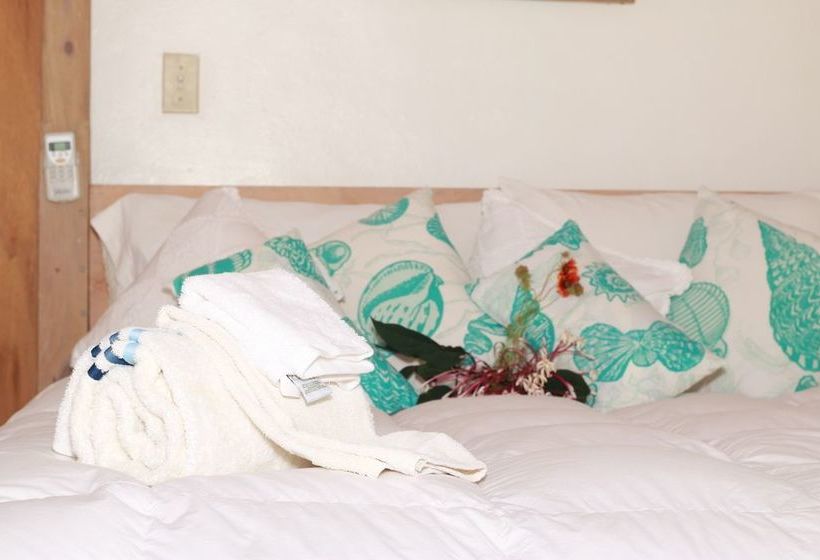 Pension The Sugar Apple