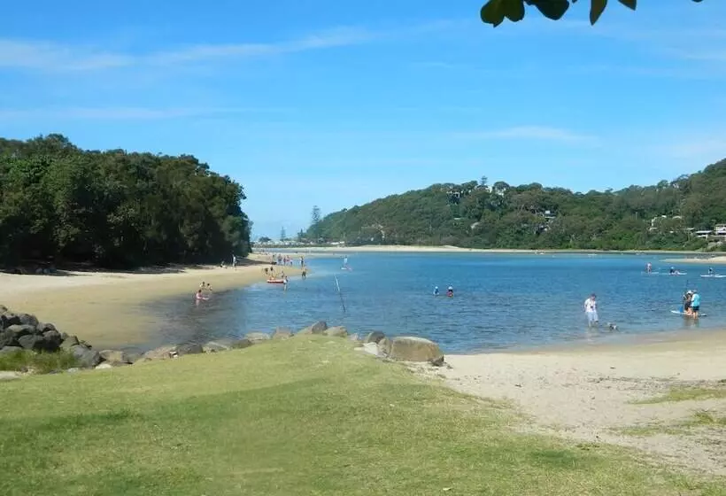 Princess Palm On The Beach