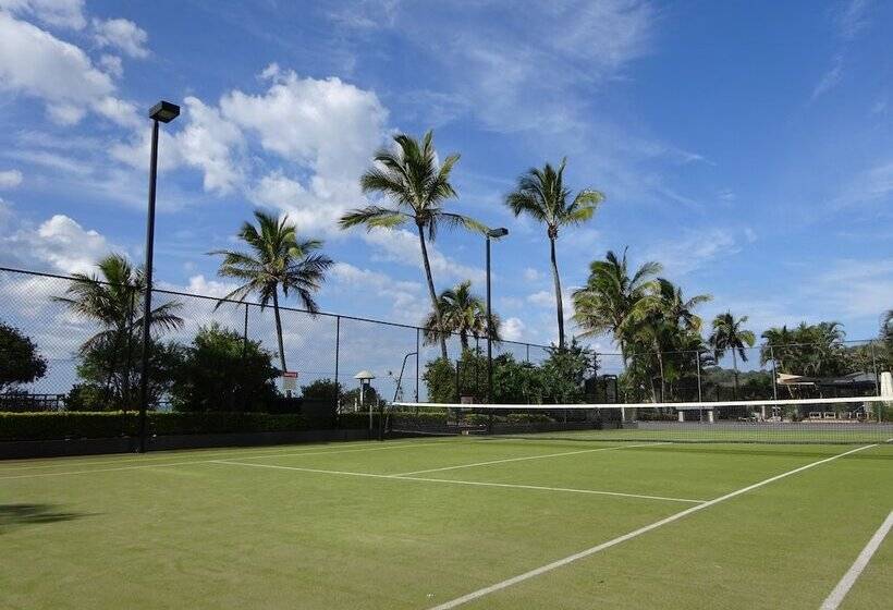 Princess Palm On The Beach