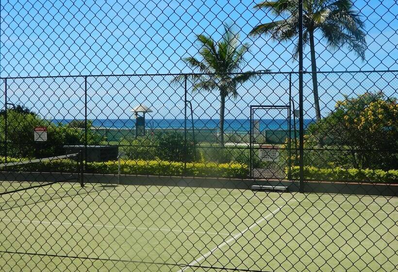 Princess Palm On The Beach