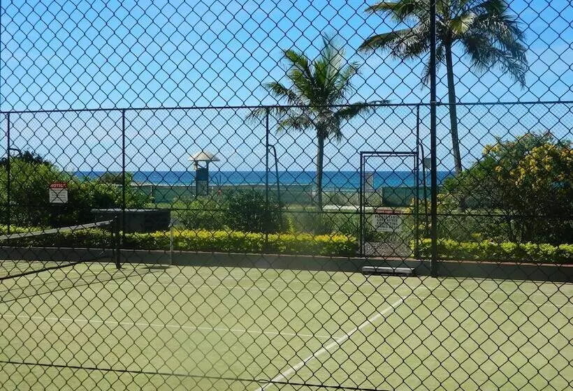 Princess Palm On The Beach