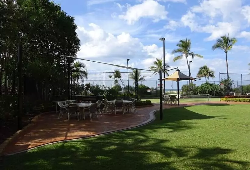 Princess Palm On The Beach