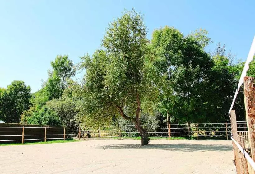 Bed and Breakfast Amd Chalet