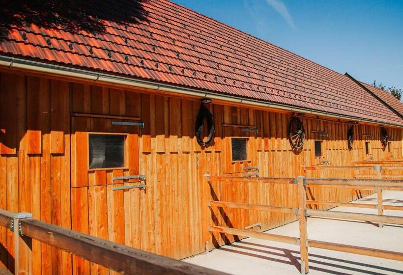 Bed and Breakfast Amd Chalet