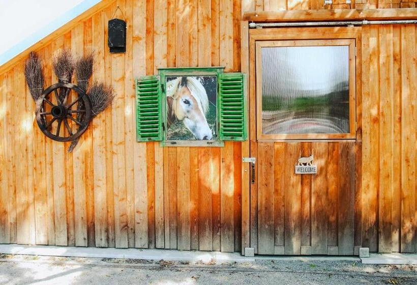 Bed and Breakfast Amd Chalet