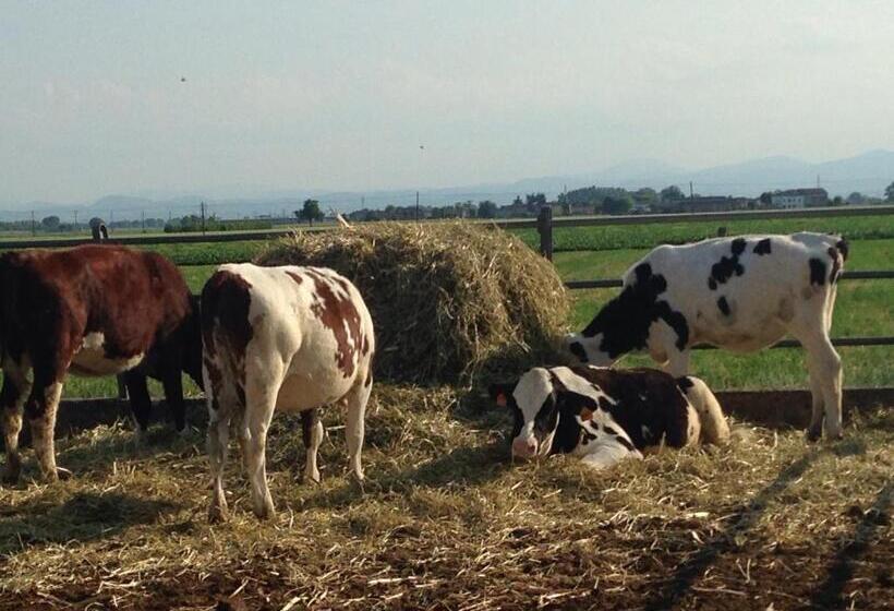 Otel Fattoria Amelia