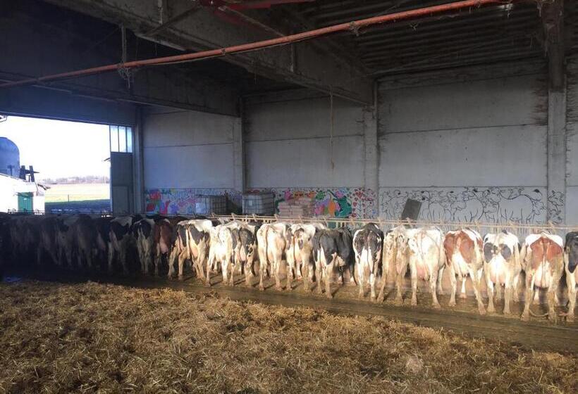 Otel Fattoria Amelia