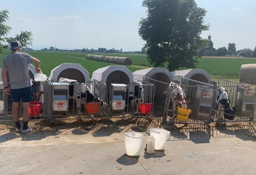 Otel Fattoria Amelia