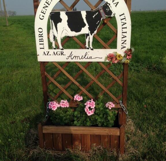 Otel Fattoria Amelia