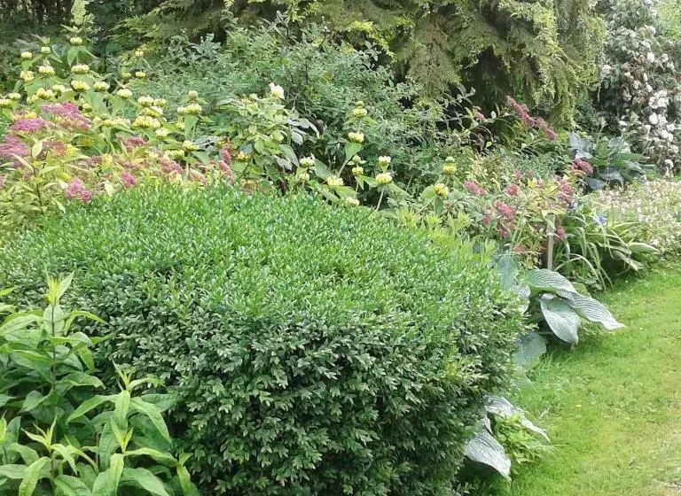 Majatalo Les Ruettes