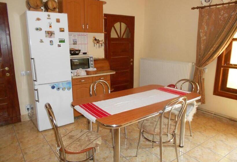 펜션 Tünde Vendégház