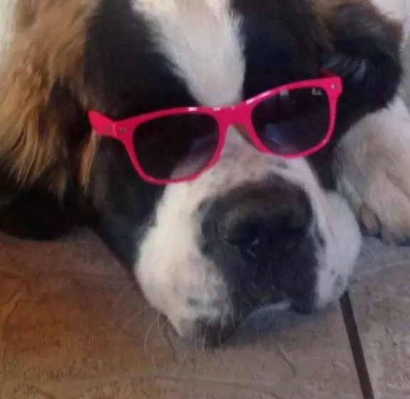 Majatalo Zum Altbreitenfelderhof