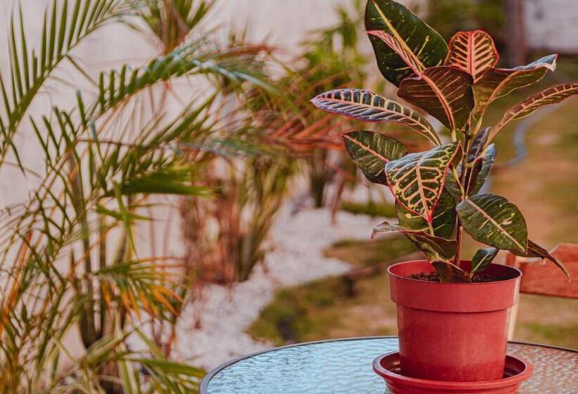 هاستل Pousada Mahalo Fulô