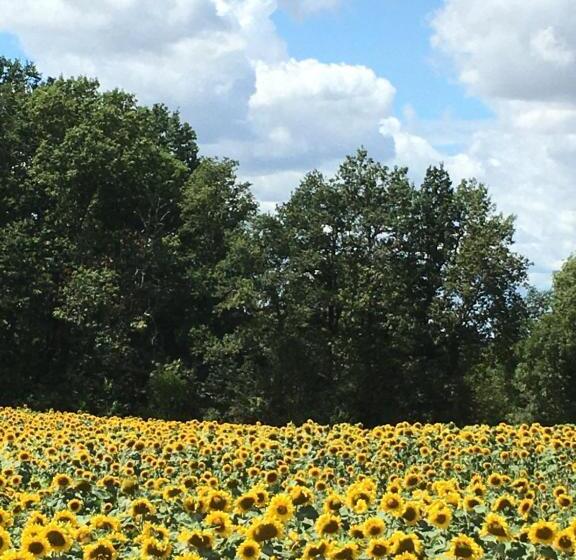 مبيت وإفطار Ancien Relais De Poste The Old Post Office