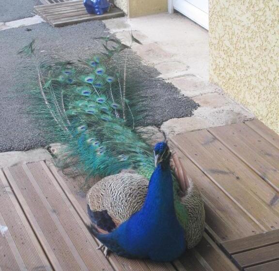 צימר Au Domaine Du Cerf