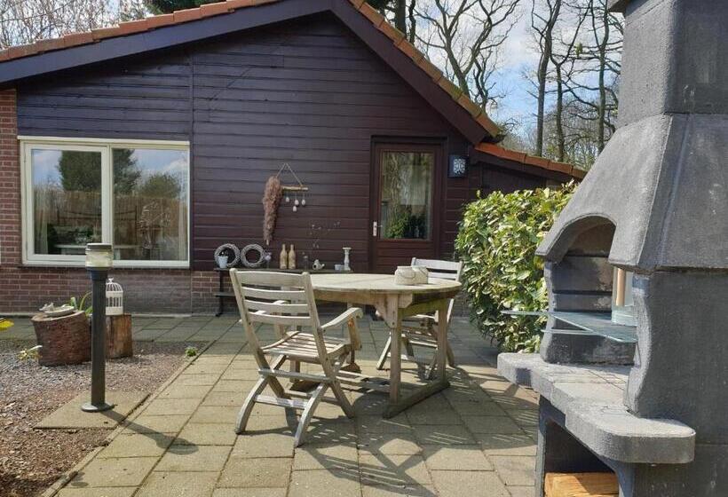 ベッドアンドブレックファースト Benb Op De Vleet