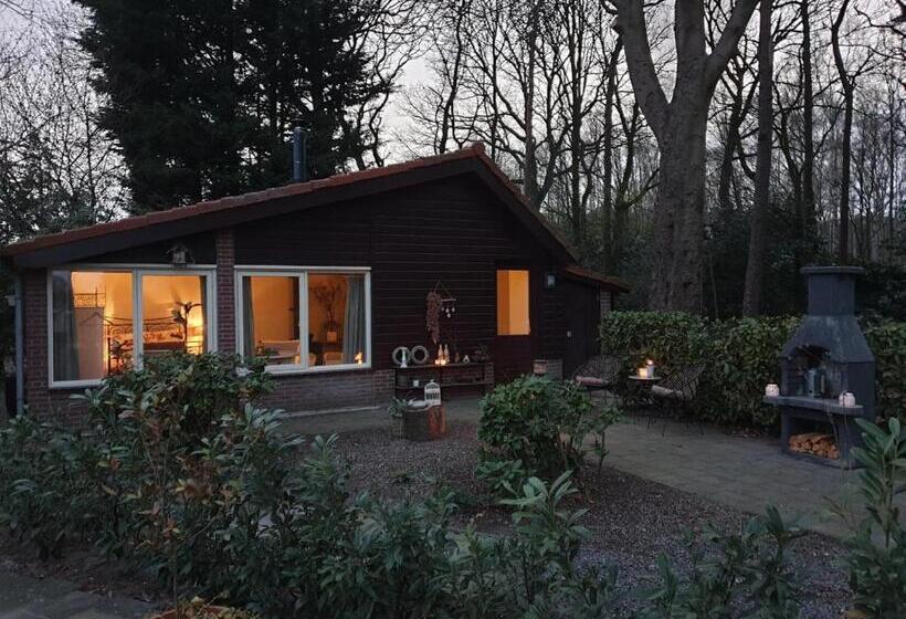 ベッドアンドブレックファースト Benb Op De Vleet