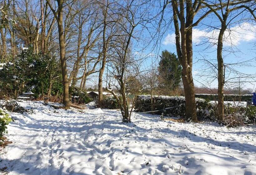 ベッドアンドブレックファースト Benb Op De Vleet