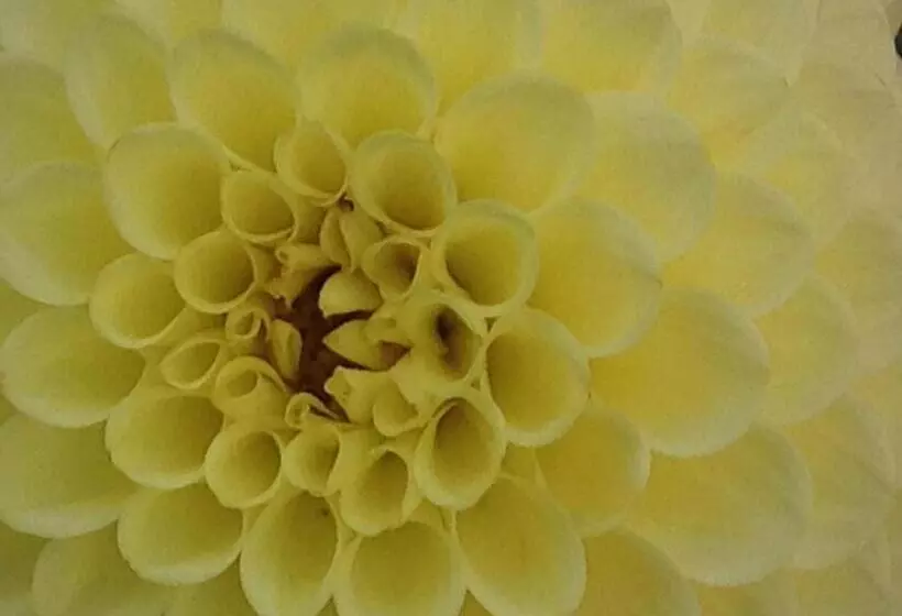 Aamiaismajoitus (B&B) Chambre Privative Et Originale, à 20 Mn De Cluny